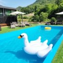 제천가족수영장클라우드펜션 이미지