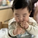 (주)지피코 1공장 | D+260 ~ 269 8개월 콧물감기, 큐브공장 돌리는 일상, 두쫀쿠