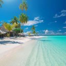 White sandy beaches in Maldives 😍 이미지