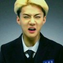 신기먹방 이미지