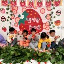 약대농장 이미지