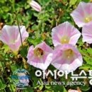 행곡4리(주천대) Daum카페