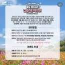 옐로우스타디움 빗물이용시설 | 전남 가을에 가볼 만한 볼거리, 먹을거리가 많아 남녀노소 즐기기 좋은 장성 황룡강 가을꽃 축제 후기