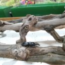 이재현농장 이미지