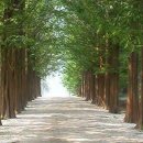 엘리사펜션 이미지