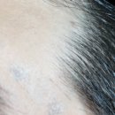 연세가인의원 이미지