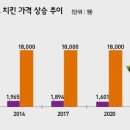 369치킨 티스토리