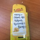 이지나라 이미지