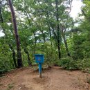 원주굽이길 17코스 동화마을진달래길 이미지