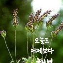 오정동상가 이미지