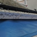 참조은날 이미지