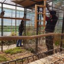 건호농장 이미지