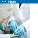 조선에프앤씨 이미지