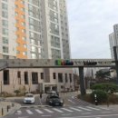 푸른솔 미술 교습소 이미지