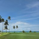 본골프센터 | 인도네시아 골프 여행 후기 – 바탐 아일랜드부터 빈탄 라구나CC 까지