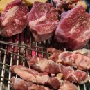 초램양고기 - 통영시 죽림5로 55-61 | 초램양고기