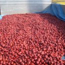 배씨농장 이미지