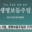 보듬라이프 이미지