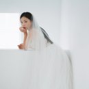 화이트하우스 건물 이미지