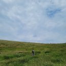 귀덕귀덕 | [제주도] 6월제주도가볼만한곳 산지해장국 서우봉 금오름 제주장작 곽지해변 문어빵빵