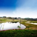 VIP골프클럽 이미지