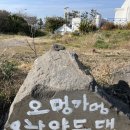 오멍가멍 애견카페&호텔 이미지
