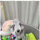 이아이앤테리어 이미지