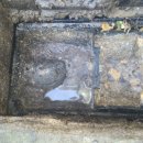 완월동135 이미지