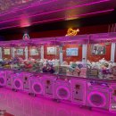 TOP인형뽑기 이미지