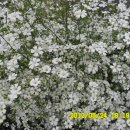 선산대로10-10 이미지