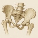 리오 퍼스널 트레이닝 | 골반의 불균형..걸음걸이도 이상하다구요..?