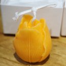 비다펠리즈(VIDA FELIZ) 이미지