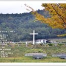 (주)처음 이미지