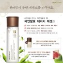 푸른에너지 Daum카페