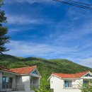 천리향 펜션 | 경남 계곡 산청 단체숙소 천리향펜션 솔잎향 독채 후기