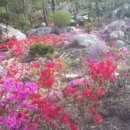 포레스트(4rest) 이미지