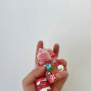 체리랩(Cherry Lab)
