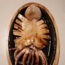 제주전집 이미지