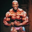 코리아짐헬스 이미지