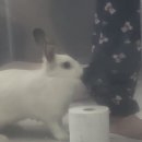 대근상회 | 까치 까치 설날은 눈이 내려요