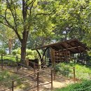 웅진동주민센터 옆 공원 | 양산 디자인공원 황톳길 맨발 산책로 맨발 걷기 후기