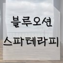 [후기] 울산 동구 방어진 블루오션스파테라피