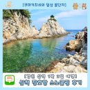 강원도 삼척 장호항 스노쿨링 명소 추천 내돈내산 후기 구명조끼 평상대여 가격