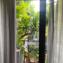 뷰띠크 호텔 이틀(Boutique HOTEL 이틀) | 버널홈부티크 다낭 호텔_가성비 좋은 숙소(조식,룸,수영장)