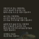 꽃만남 이미지