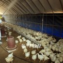 김우중 농가 이미지