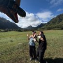 자연 이(e) 래 | 하와이 필수 액티비티 쿠알로아랜치 e바이크 후기(e바이크 선택 이유, 복장, 예약 등 꿀팁)