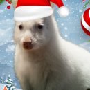 유니온로 이미지