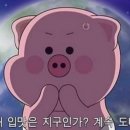 프로핏 피트니스 이미지