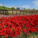 온천공원1 이미지